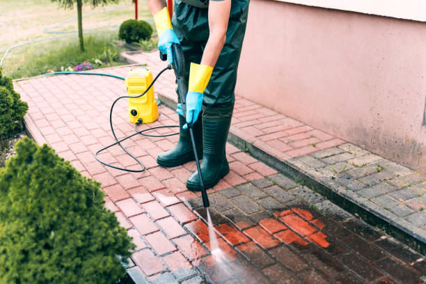 Best Driveway Pressure Washing  in Canton, IL